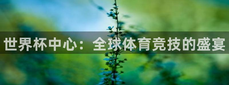 世界杯时间：世界杯中心：全球体育竞技的盛宴