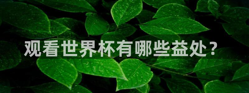 世俱杯直播：观看世界杯有哪些益处？