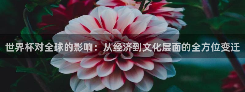 世界杯在线直播：世界杯对全球的影响：从经济到文化层面的全方位变迁