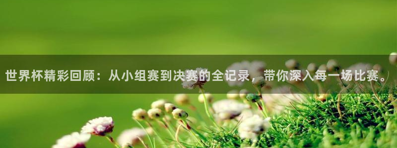 今年世界杯：世界杯精彩回顾：从小组赛到决赛的全记录，带你深入每一场比赛。