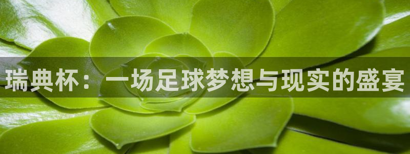 2026年世界杯赛程：瑞典杯：一场足球梦想与现实的盛宴