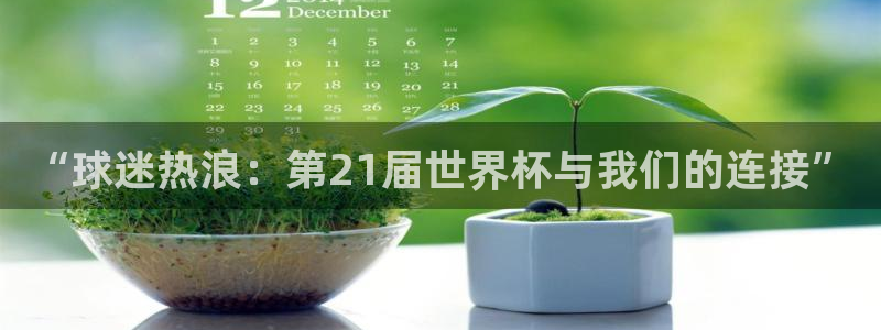 今天所有足球赛程表：“球迷热浪：第21届世界杯与我们的连接”