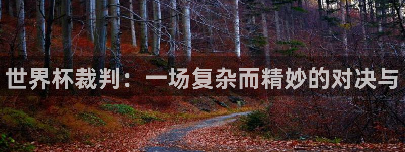 世界杯2026赛程表：世界杯裁判：一场复杂而精妙的对决与
