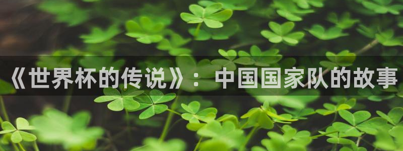 2026世界杯足球赛程时间表：《世界杯的传说》：中国国家队的故事