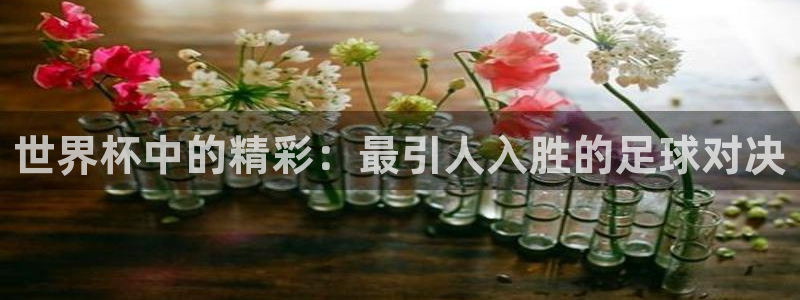 世界杯直播：世界杯中的精彩：最引人入胜的足球对决