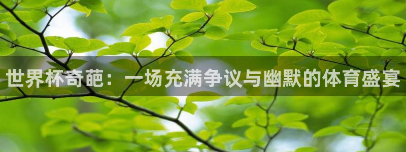 世界杯足球2026：世界杯奇葩：一场充满争议与幽默的体育盛宴