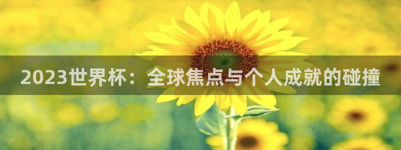 2026世界杯赛程表完整版：2023世界杯：全球焦点与个人成就的碰撞