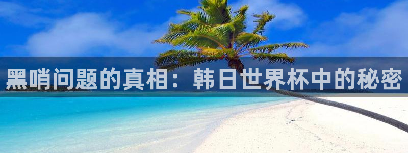 2026世界杯官网：黑哨问题的真相：韩日世界杯中的秘密