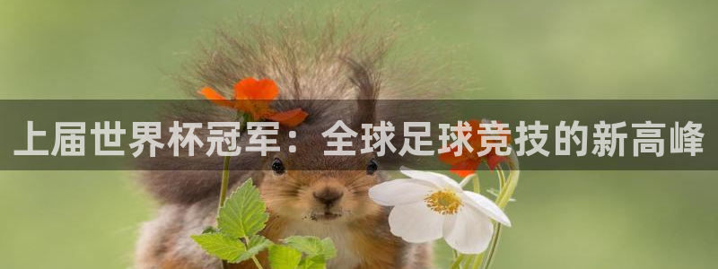 2026世界杯中国队：上届世界杯冠军：全球足球竞技的新高峰